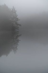 Fine Art landschap van een meer in de mist