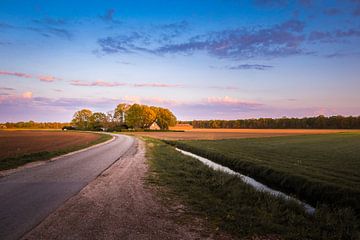 Golden Hour Drunen Farm by Zwoele Plaatjes