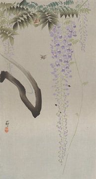 Bee naast bloeiende Wisteria, Ohara Koson