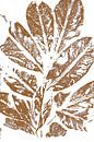 Branche avec feuilles dans un style rétro. Art botanique moderne minimaliste en terracotta sur blanc par Dina Dankers Aperçu