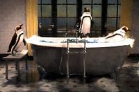 Pingouins jouant dans le bain, une peinture éclaboussante