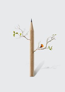 Bleistiftbaum von 360brain