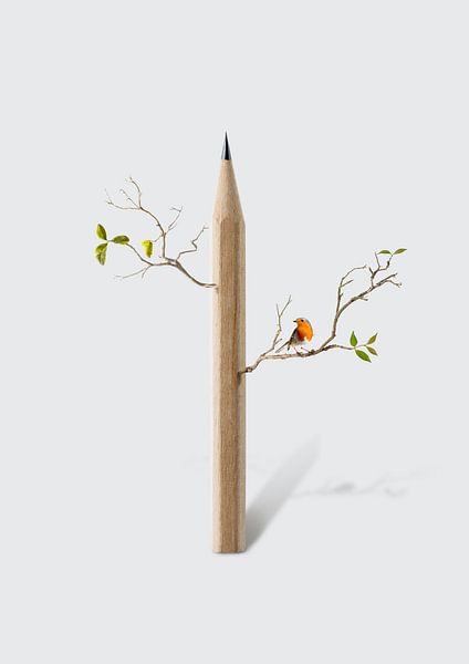 Pencil Tree by 360brain