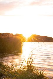 sunset by Laura Bosch