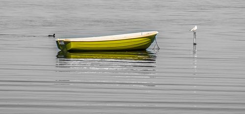 Who pays the ferryman ?