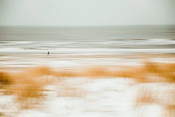 Läufer am Winterstrand von Noordwijk, abstrakt