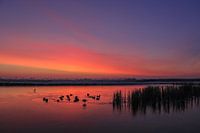 Sfeervolle zonsopkomst