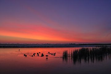 Atmospheric sunrise by Jo Pixel