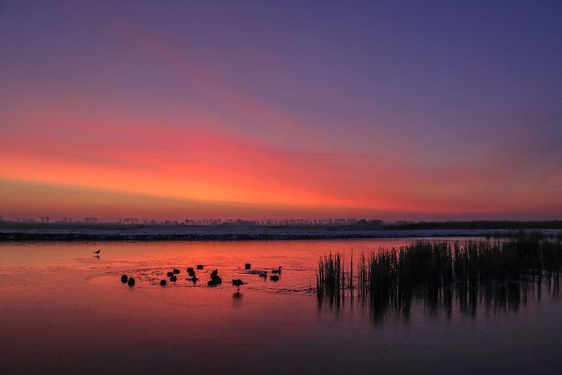 Sfeervolle zonsopkomst van Jo Pixel