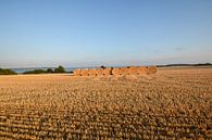 Strohballen in Groß Stresow, Erntezeit auf Rügen von GH Foto & Artdesign Miniaturansicht