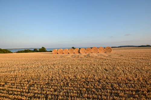 Strobalen in Groß Stresow, oogsttijd op Rügen