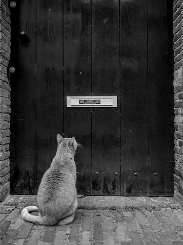 Na een lange nacht buiten...