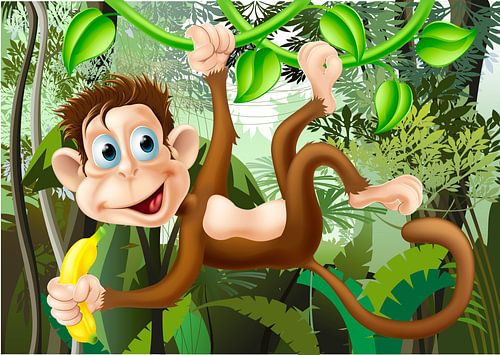 Aapje aan liaan in de jungle