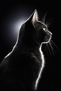 Silhouette einer schwarzen Katze mit Hintergrundbeleuchtung