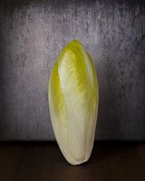 Chicory