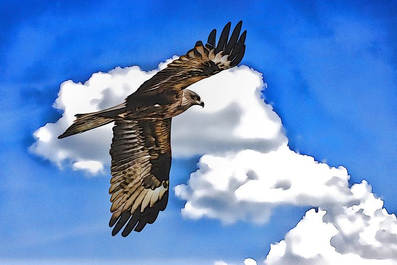 Black Kite in Flight by Andreas Müller