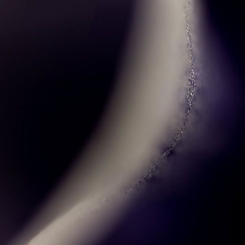 Diamants