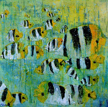 Tropical fish sur pol ledent