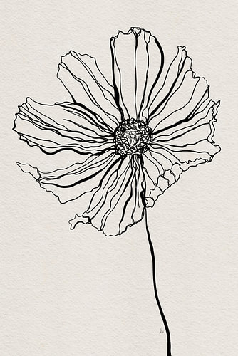 Cosmea, digitale one-line drawing