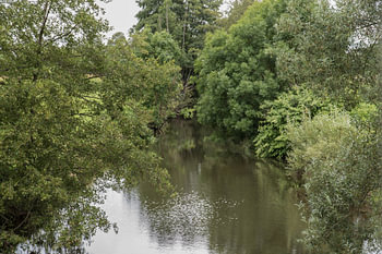 Wolfsfeld der grüne Fluss