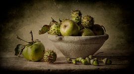 Stilleben 65 von jejaka art