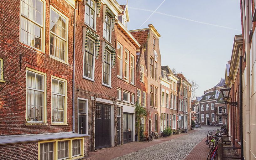 Pieterskerkstraat in the beautiful city Leiden by Dirk van Egmond