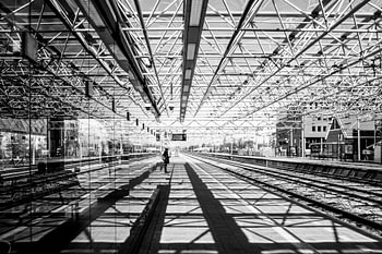 Lijnen van het Spoor