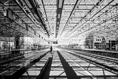 Railway Lines