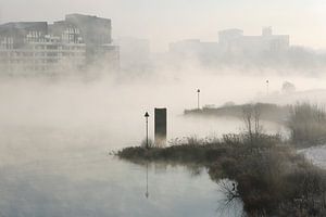 Brouillard sur la rivière IJssel