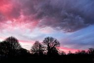 Roze wolken van Corinne Welp thumbnail