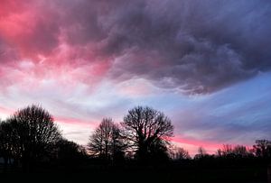 Nuages roses