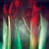 Verträumte rote Tulpen Stillleben von Dirk Wüstenhagen