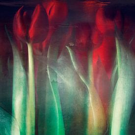 Tulipes rouges rêveuses Nature morte sur Dirk Wüstenhagen
