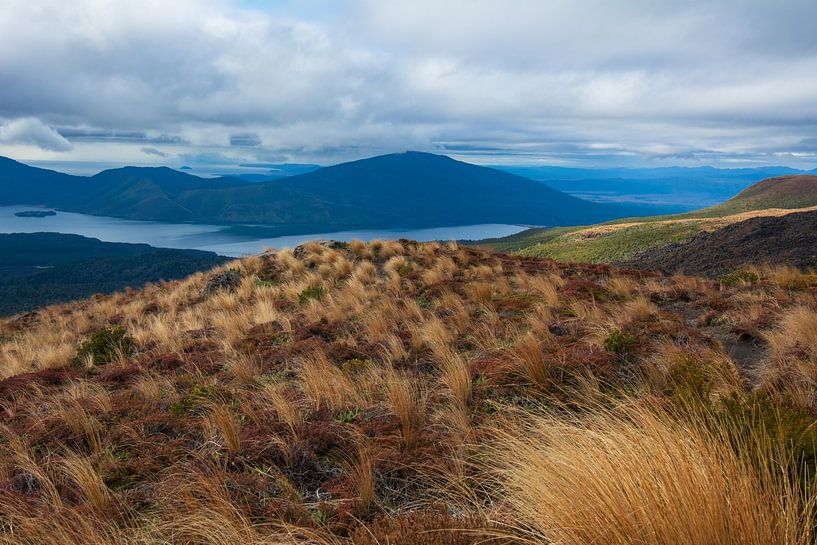 Tongariro von Ronne Vinkx