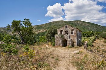 Abandoned house