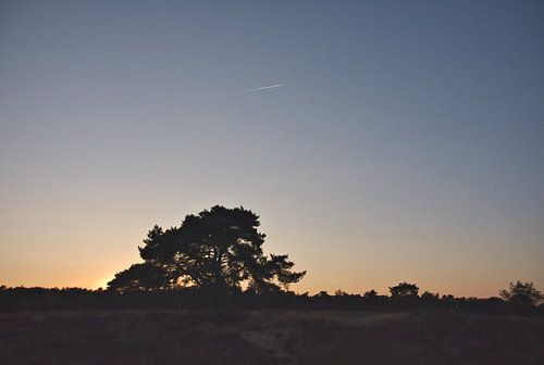 De avondlucht boven de heide