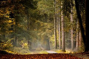 Farben sind im Kommen