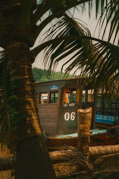 Tropische Bootsszene im Mekong-Delta von NZME Photography