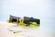 Oude bunker in de zee van Tess Smethurst-Oostvogel thumbnail