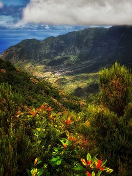 Madeira 2 van Maickel Dedeken