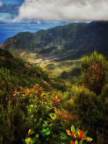 Madeira 2 by Maickel Dedeken