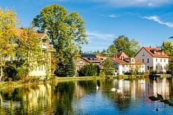 Spiegelung im Sauweiher in Isny im Allgäu Deutschland