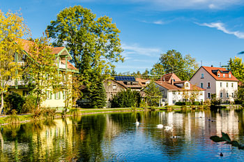 Spiegelung im Sauweiher in Isny im Allgäu Deutschland