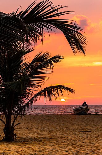 Silhouet minnaars in een boot met palmboom op het strand bij zonsondergang in Negombo Sri Lanka