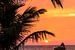 Silhouette Liebespaar in einem Boot mit Palme am Strand bei Sonnenuntergang in Negombo Sri Lanka von Dieter Walther