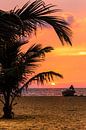 Silhouet minnaars in een boot met palmboom op het strand bij zonsondergang in Negombo Sri Lanka van Dieter Walther thumbnail