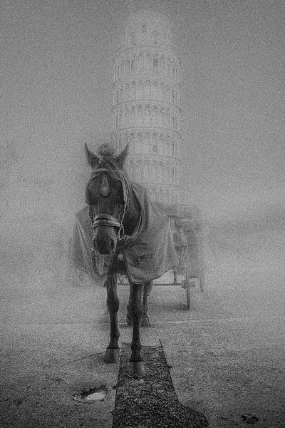 Paard met deken Pisa Toscane van Frank Andree