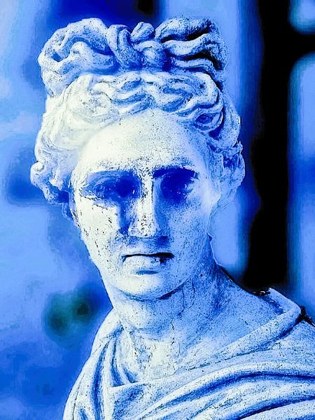 Die blaue Frau. von Ineke de Rijk