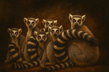 Ringstaartmaki Samen in het morgenlicht