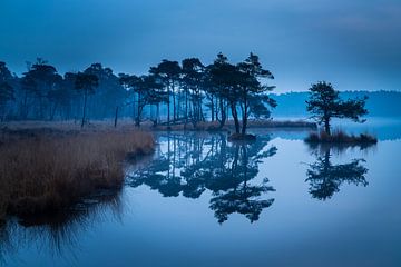Blue hour at the Ponds by René Groenendijk